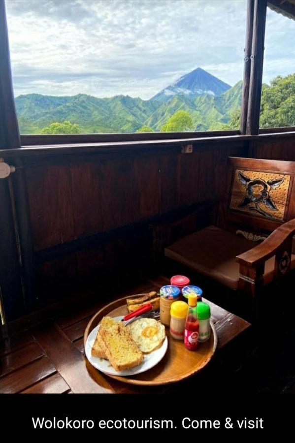 Home Stay Wolokoro Ecotourism Bajawa Kültér fotó