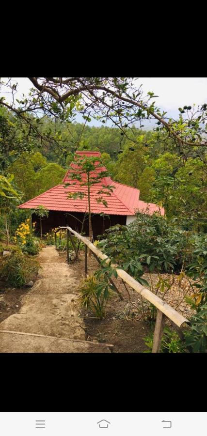 Home Stay Wolokoro Ecotourism Bajawa Kültér fotó