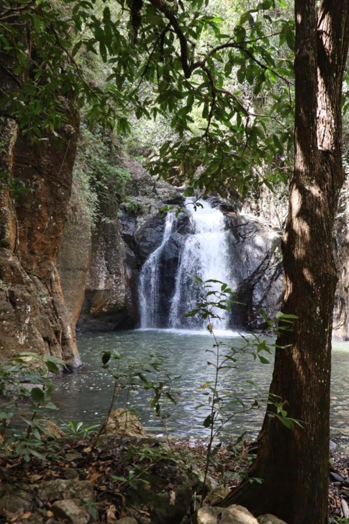 Home Stay Wolokoro Ecotourism Bajawa Kültér fotó