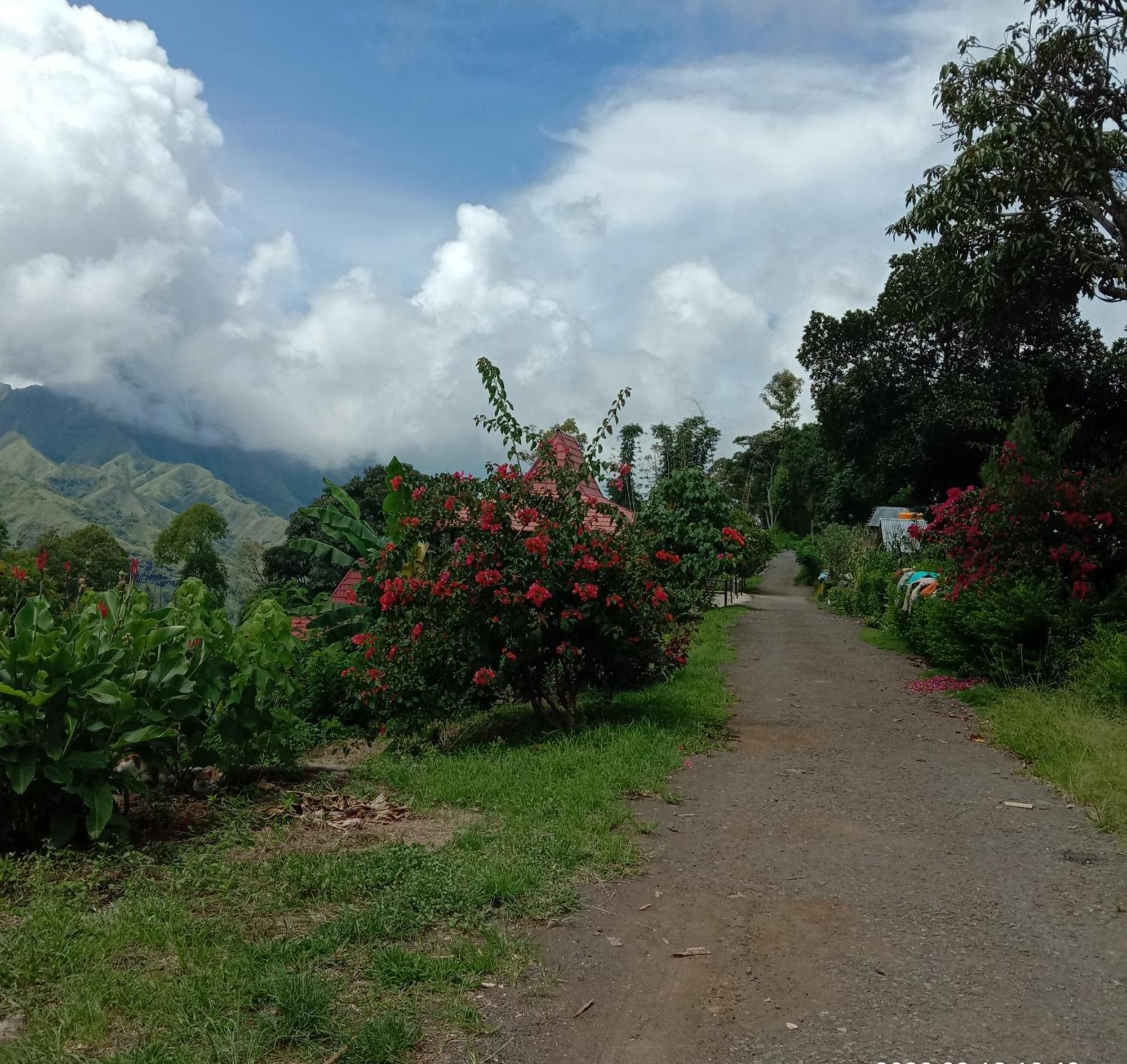 Home Stay Wolokoro Ecotourism Bajawa Szoba fotó